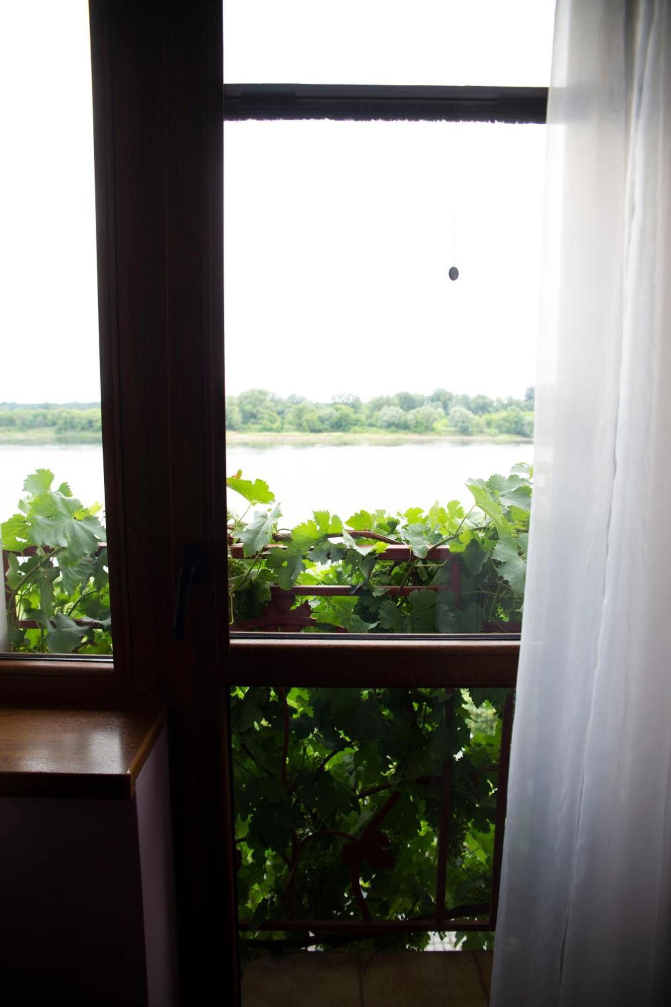 Pensjonat Winnica Stary Toruń Habitación foto